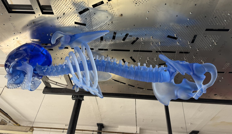 V Železném Brodě vyrobili skláři největšího skleněného kostlivce světa. Zdobit bude bývalý obchodní dům Máj