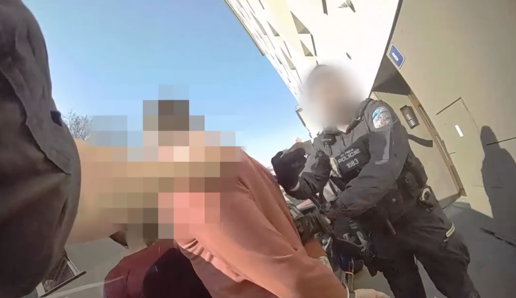 Muž skončil v poutech.