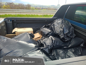 České zemědělské univerzita se distancovala od studentky, která na Slovensku zastřelila a naporcovala medvědici