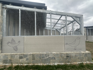 FOTOGALERIE: Jezírko pro vydry, voliéra pro veverky. Podívejte se, jak to vypadá v nové záchranné stanici