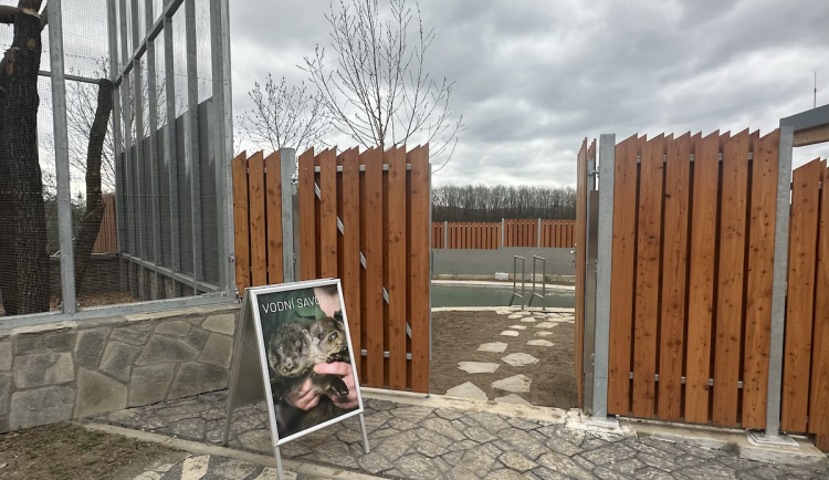 FOTOGALERIE: Jezírko pro vydry, voliéra pro veverky. Podívejte se, jak to vypadá v nové záchranné stanici