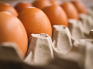Cena vajec v Česku meziročně vzrostla nejvíce z celé EU