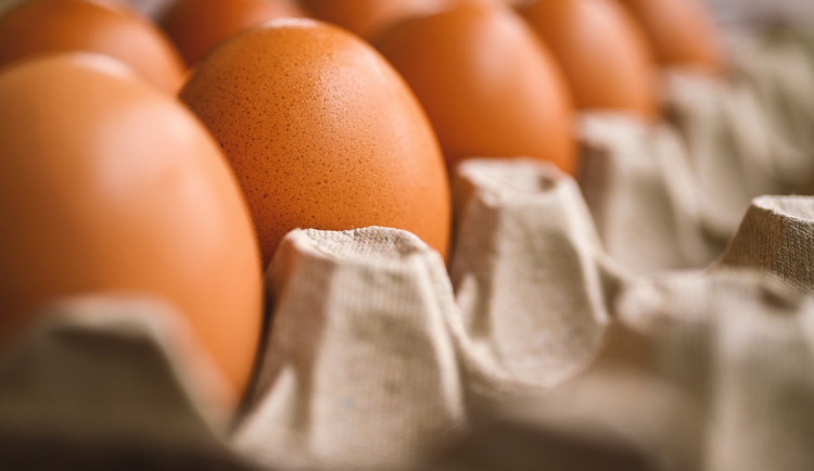Cena vajec v Česku meziročně vzrostla nejvíce z celé Evropské unie