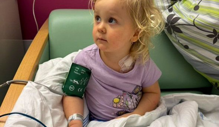 Šance pro Madlenku, nábor dárců kostní dřeně bude ve čtvrtek v liberecké knihovně