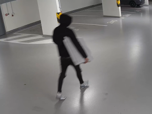 Policisté chytili muže, který v Praze 8 a 9 vykrádal co mohl. Přivlastnil si vzácný obraz i 17 kilo hovězího masa