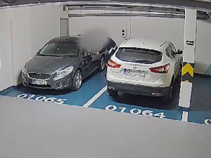 Policisté chytili muže, který v Praze 8 a 9 vykrádal co mohl. Přivlastnil si vzácný obraz i 17 kilo hovězího masa