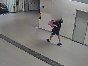 Policisté chytili muže, který v Praze 8 a 9 vykrádal co mohl. Přivlastnil si vzácný obraz i 17 kilo hovězího masa