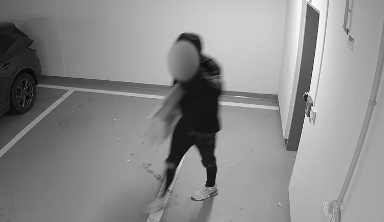 Policisté chytili muže, který v Praze 8 a 9 vykrádal co mohl. Přivlastnil si vzácný obraz i 17 kilo hovězího masa