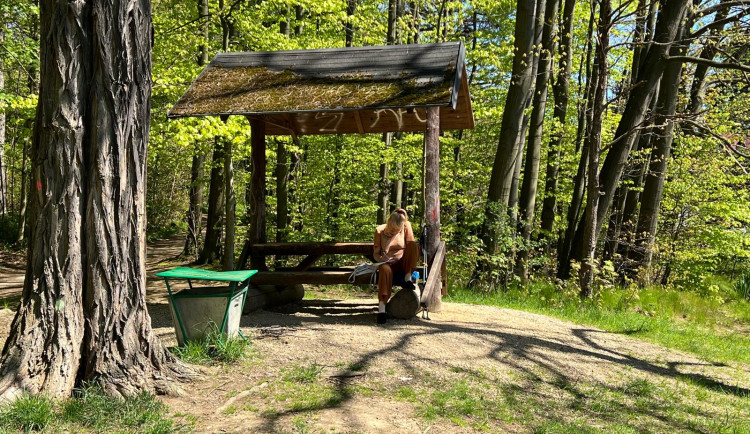 Frýdlant získal směnou les u Střelnice, chystá v něm příměstský lesopark
