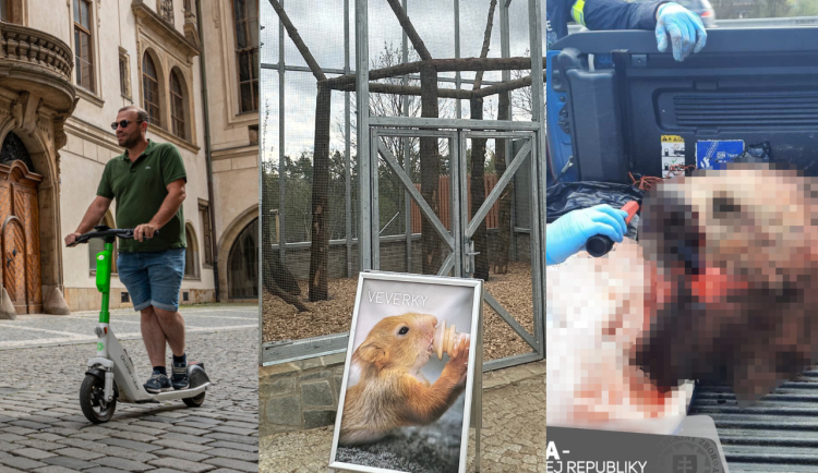 DUBEN 2025: Konec koloběžek, záchranná stanice v novém a studentka, co zabila medvěda