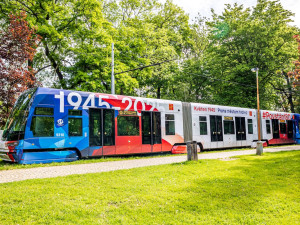 (c) Radoslav Vnencak