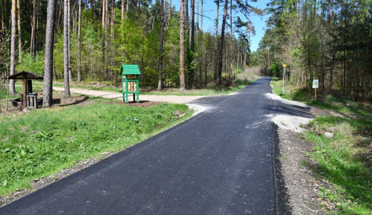 Plzeň opraví lesní cesty na Dubové hoře v Liticích, na Valše i na Kokotsku