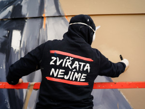 FOTOGALERIE: V Holešovicích tvoří Toy Box nový mural, připomene Miladu Horákovou