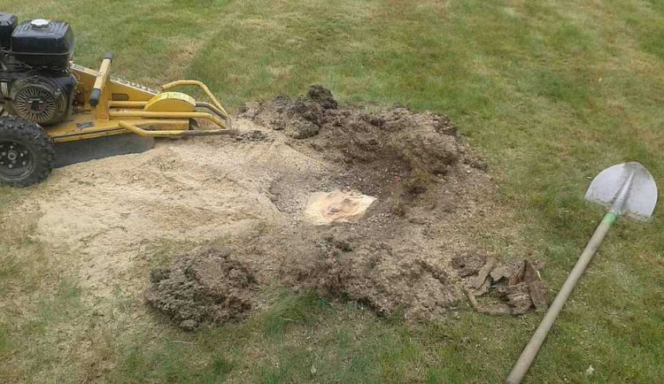 <p><strong>Co dělat po odstranění pařezů?</strong></p> <p>Po frézování může být terén mírně propadlý – je to přirozený důsledek odstranění kořenového systému. Tento prostor je však snadné zasypat zeminou a vyrovnat. Následně