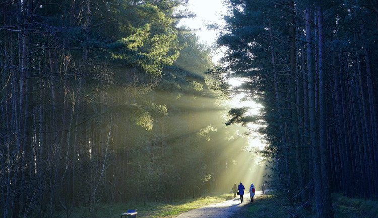 Stezka na Hradečnici 2.0: Druhá šance projektu, který měl skončit v šuplíku