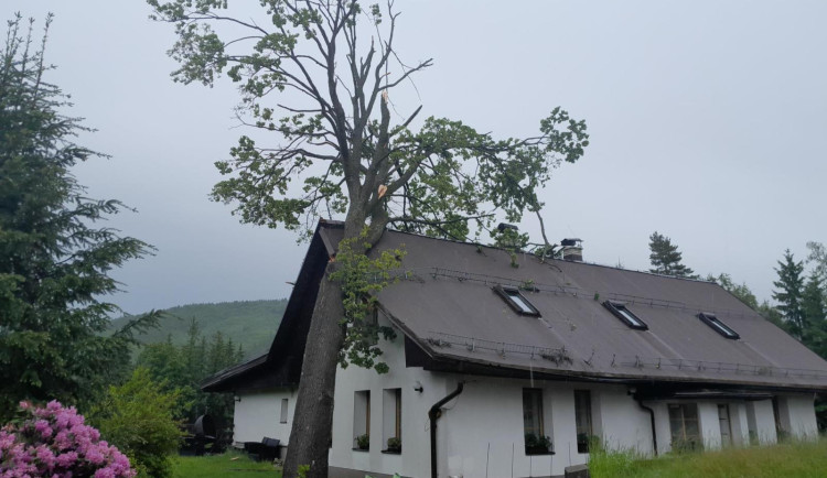 Vzrostlý strom spadl na štít domu v Liberci Kunraticích. Pomohli hasiči