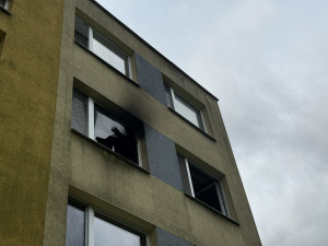 Dva ranní požáry v Praze zaměstnaly hasiče, z budovy zachránili i želvu