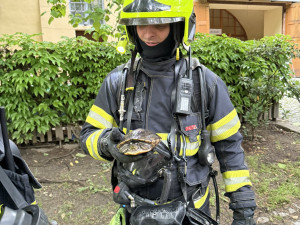 Dva ranní požáry v Praze zaměstnaly hasiče, z budovy zachránili i želvu