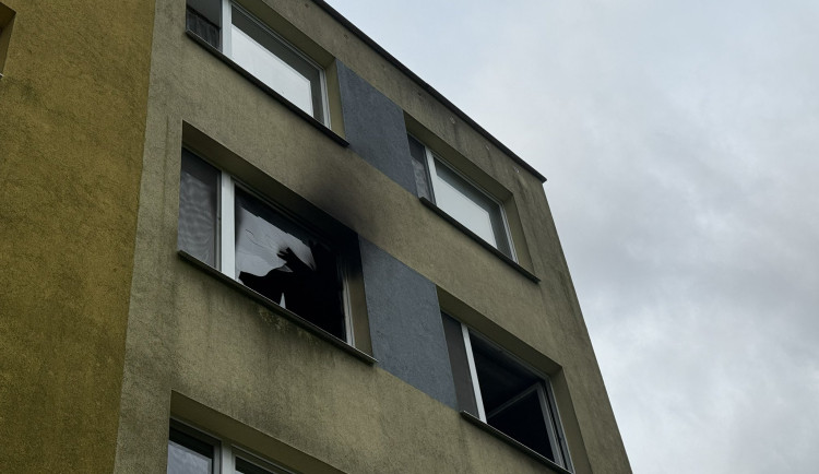 Dva ranní požáry v Praze zaměstnaly hasiče, z budovy zachránili i želvu.