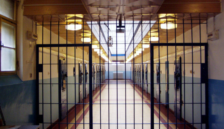 Žena v Liberci měla přihlížet zneužívání svých dcer, k muži je sama vodila