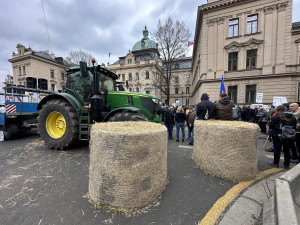 Muž vyhrožoval, že se samopalem půjde na úřad vlády. Vydají na něj příkaz k zatčení