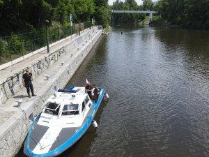 Pátrání po zmizelých labutích v Praze a okolí