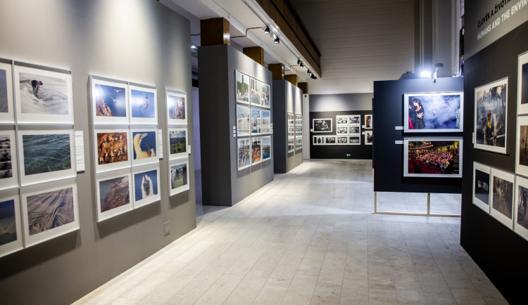 Výstava Czech Press Photo v Hradci Králové: fascinující svět fotografie