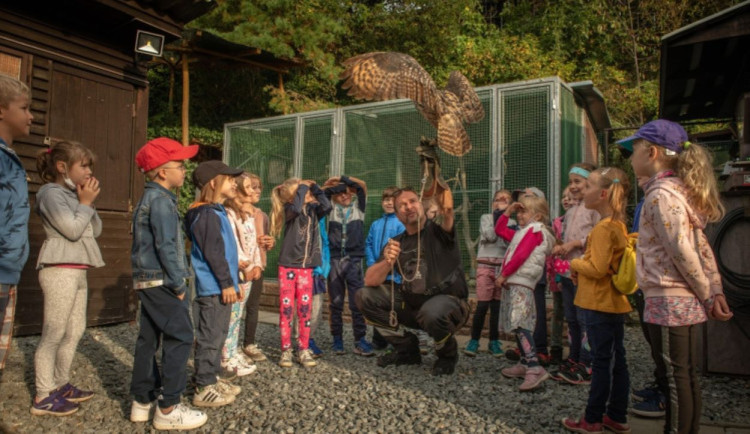 Další dva miliony poskytne Plzeň na nově budovanou stavbu záchranné stanice živočichů