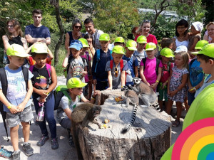 Léto je tu! Příměstské tábory od společnosti Kroužky nabízejí poslední místa se slevou 15 %