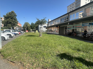 Praha 6 stopla prodej pozemků na Petřinách, místní proti výstavbě sepsali petici