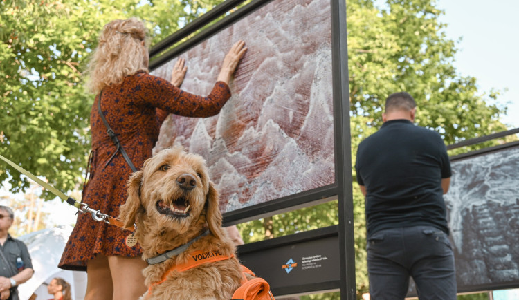 Osahajte si umění: Na Stříbrném rybníku probíhá unikátní výstava Martina Veselého