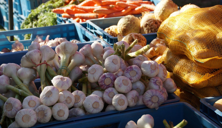 Jičín chce posunout sobotní trhy na Valdštejnově náměstí o level výš, ptá se lidí