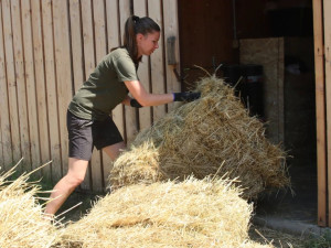 Záchranná stanice dostává seno z pražských luk. Kvůli srnčatům je kontrolují dronem