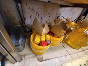 Přetékající odpad, maso v teple. Nebezpečný fastfood na Vinohradech na místě zavřeli