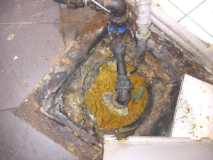 Přetékající odpad, maso v teple. Nebezpečný fastfood na Vinohradech na místě zavřeli