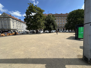 Místo cest vyšlapaných v trávě poušť. Lidé kritizují úpravu části Kulaťáku