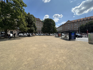 Místo cest vyšlapaných v trávě poušť. Lidé kritizují úpravu části Kulaťáku