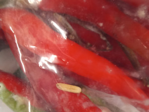 Ovoce z exotiky? Spolu s ním se do Česka dostávají destruktivní škůdci