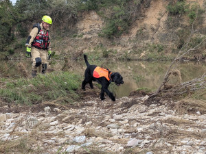 VIDEO: V Texasu pomáhají i hasiči z Prahy. Práci jim ztěžují jedovatí hadi i déšť