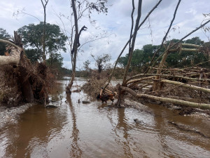 VIDEO: V Texasu pomáhají i hasiči z Prahy. Práci jim ztěžují jedovatí hadi i déšť