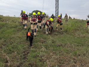 VIDEO: V Texasu pomáhají i hasiči z Prahy. Práci jim ztěžují jedovatí hadi a déšť