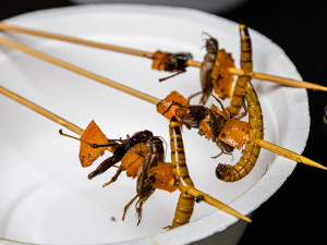 Špízy z vícero druhů hmyzu