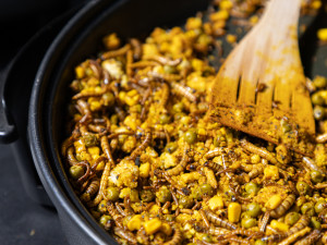 Mouční červi po indicku