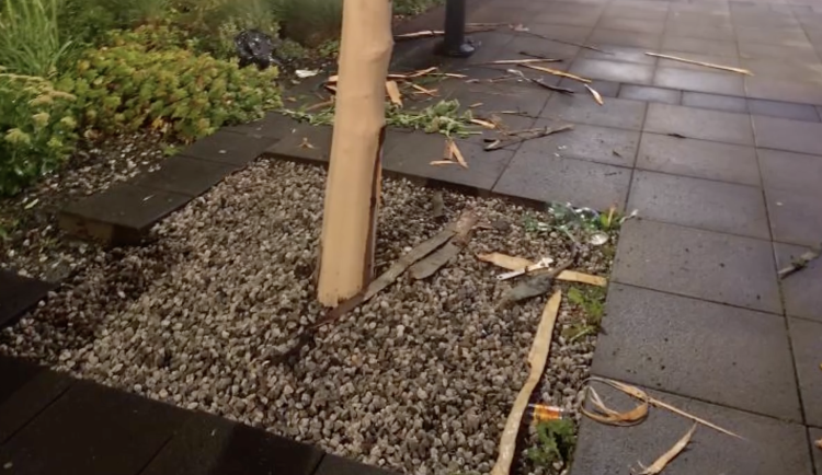 Na kůru si muž vzal odlamovací nůž.