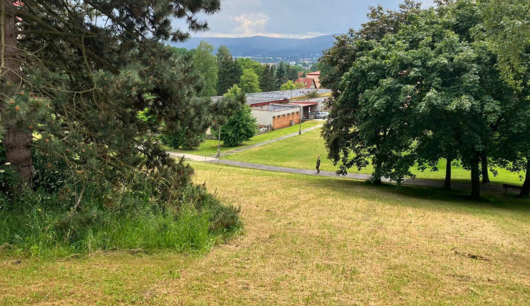 Jak zlepšit vzhled Liberce? Radnice uvažuje o povinné seči pro majitele pozemků