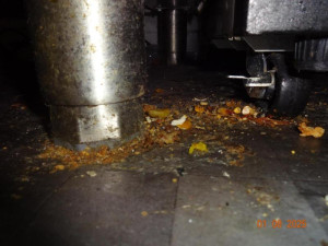Mastnota a špína všude. Hygiena zavřela restauraci v Edenu