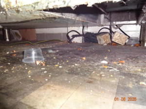 Mastnota a špína všude. Hygiena zavřela restauraci v Edenu