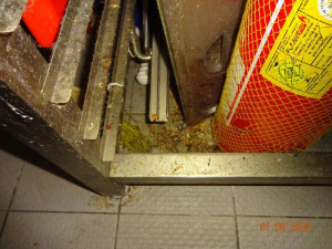 Mastnota a špína všude. Hygiena zavřela restauraci v Edenu