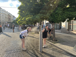 Meteorologové varují před vedrem, bude až 37 stupňů. Pozor na děti a zvířata v autech