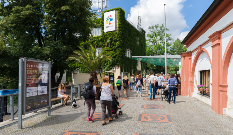 Pražská zoo přivítala miliontého hosta, zájem návštěvníků je větší než v minulých letech